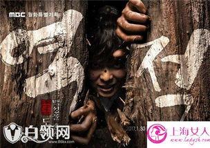 逆贼洪吉童在线观看,在线揭秘历史叛乱风云